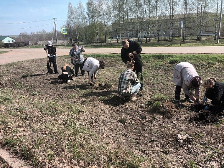 В с. Русская Паевка посажено более 50  молодых саженцев сосны.