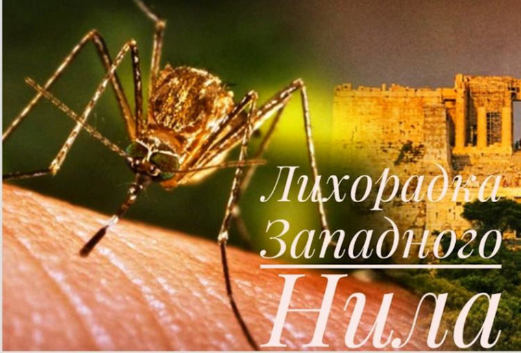 О мерах профилактики лихорадки Западного Нила. О мерах профилактики лихорадки Западного Нила.