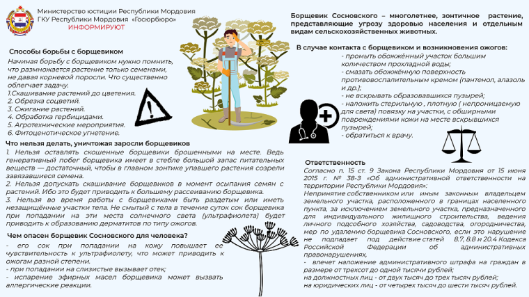 Листовка о способах борьбы с борщевиком. Листовка о способах борьбы с борщевиком.